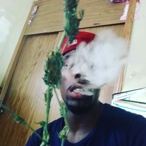 Meet your Posher, Julius